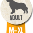 imgi_18_adult-dinner